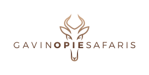 Gavin Opie Safari logo