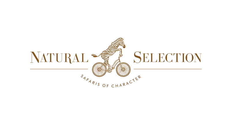 Natural Selection safaris logo
