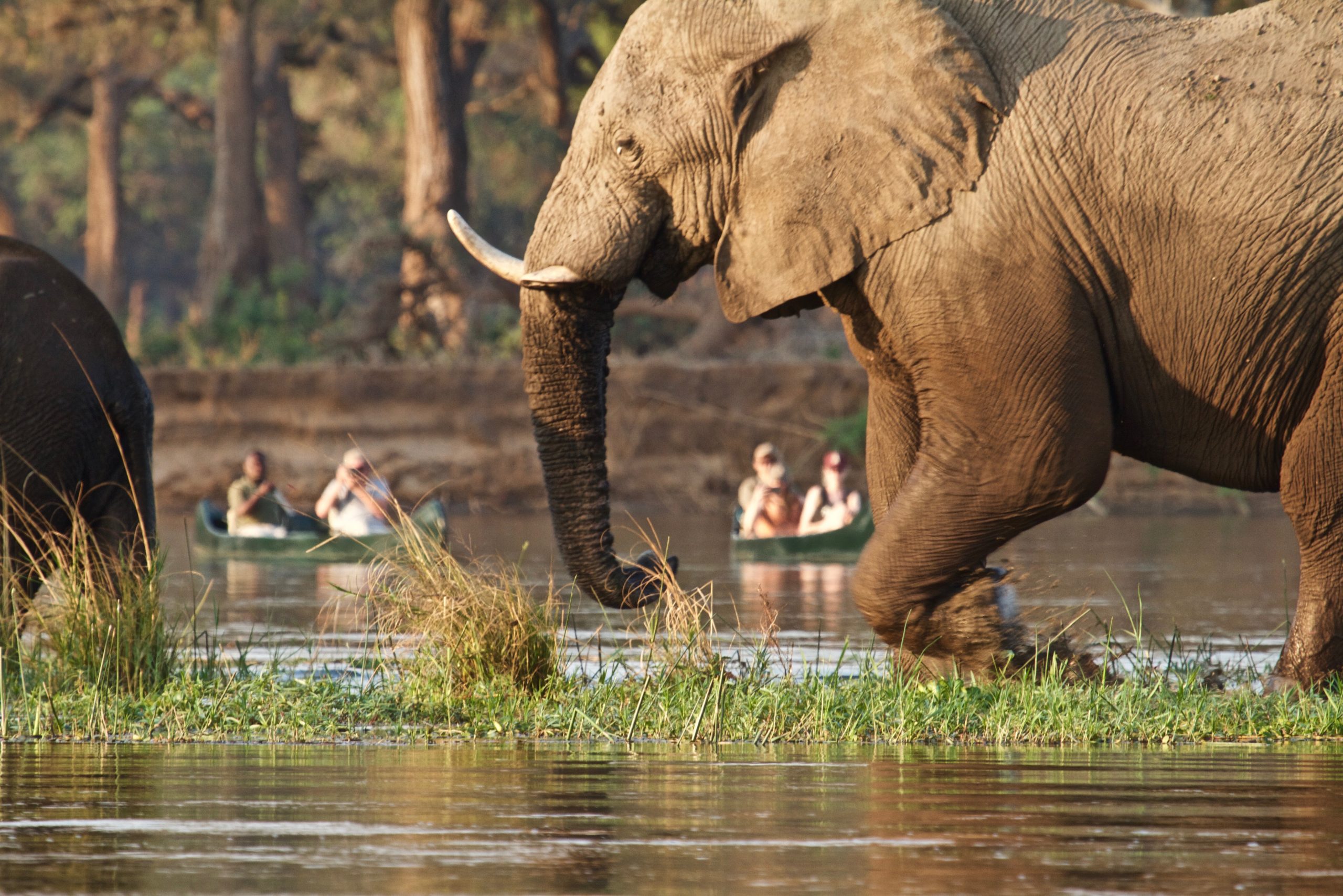 African Aerial Safaris water and wildlife