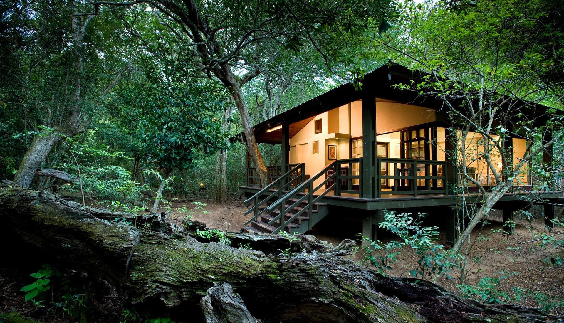Phinda Forest Lodge suite