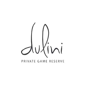 dulini logo