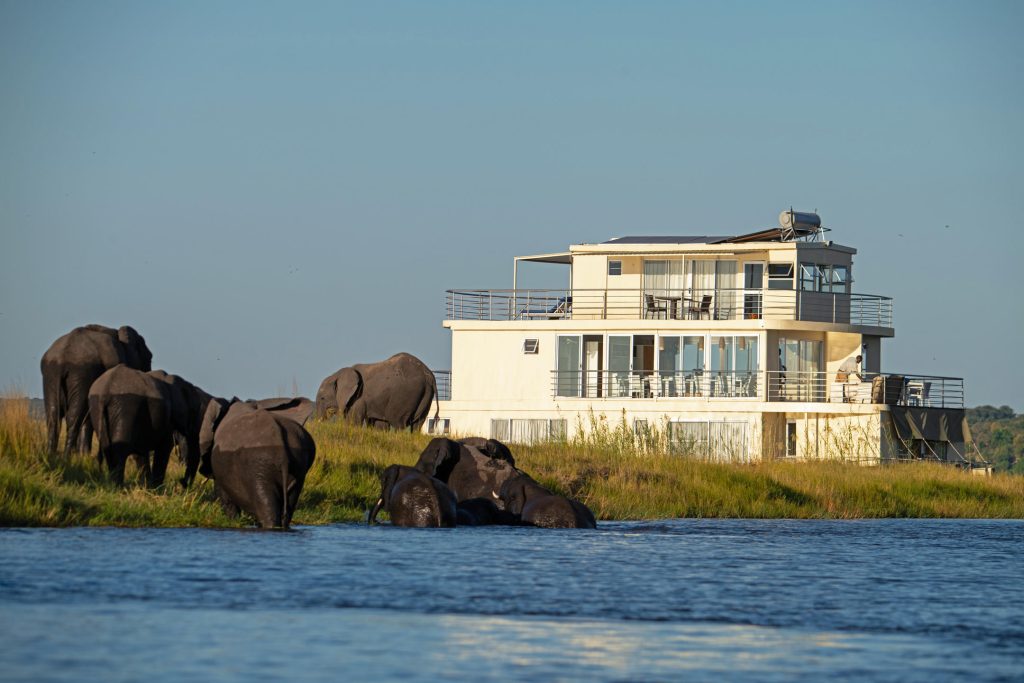 elephants around houseboat