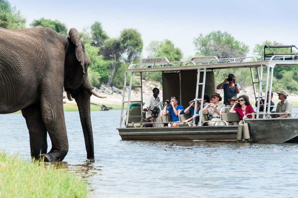 elephant near boat on river