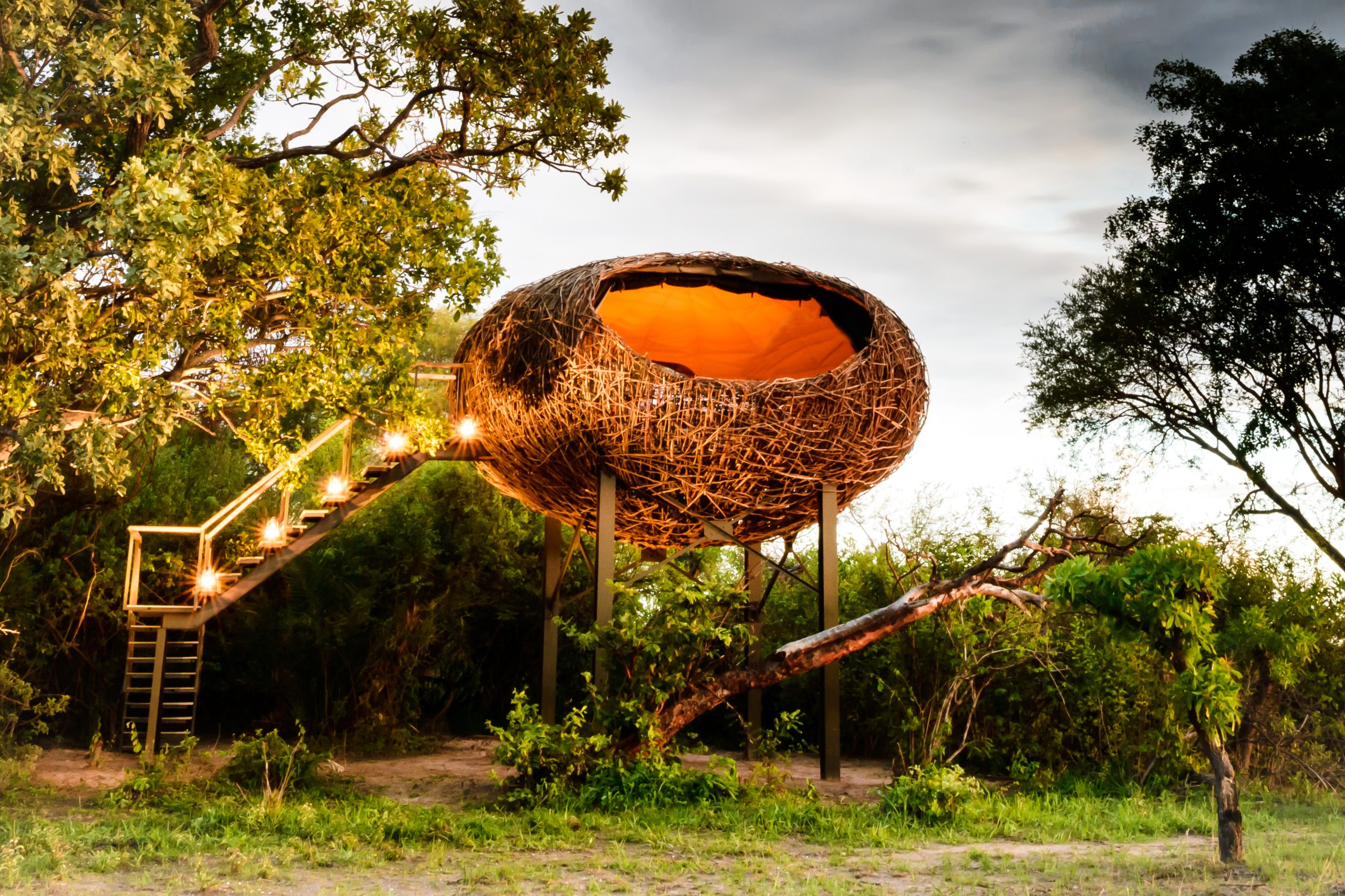 the nest lodge busanga zambia