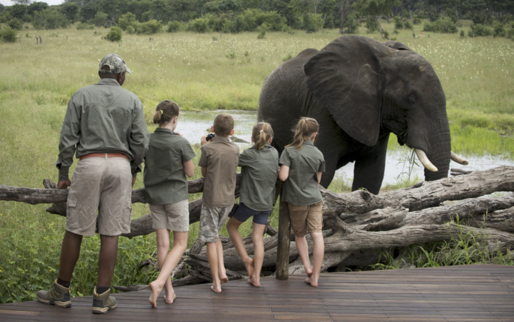 luxury family safari