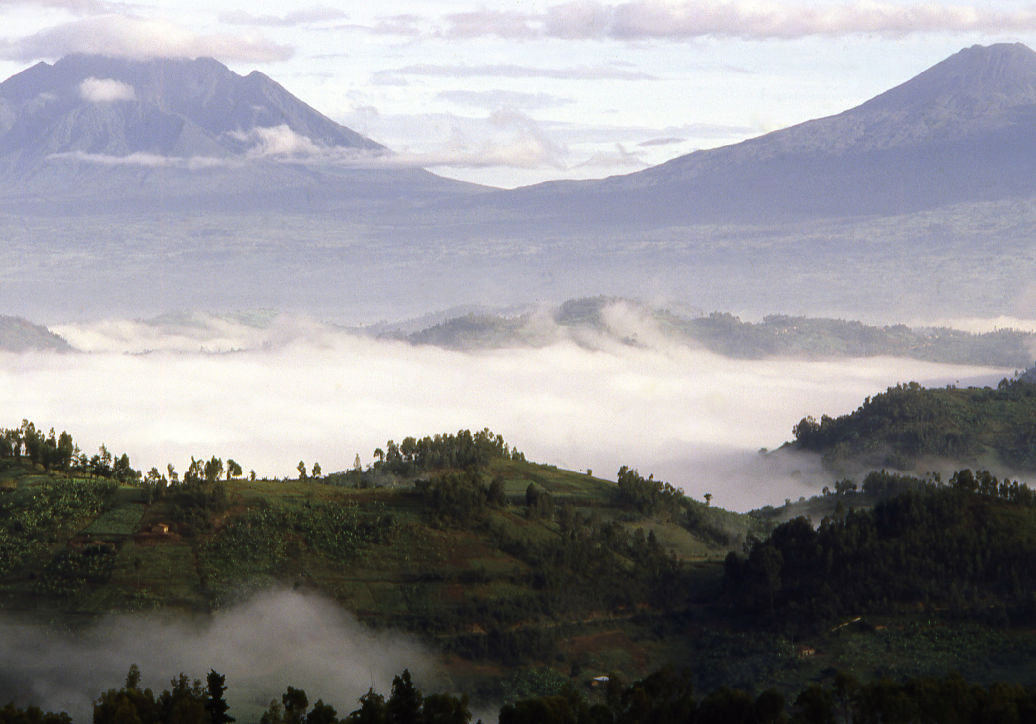 Volcanoes national park Rwanda landscape