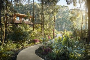 A path through lush gardens of Gorillas Nest lodge rwanda