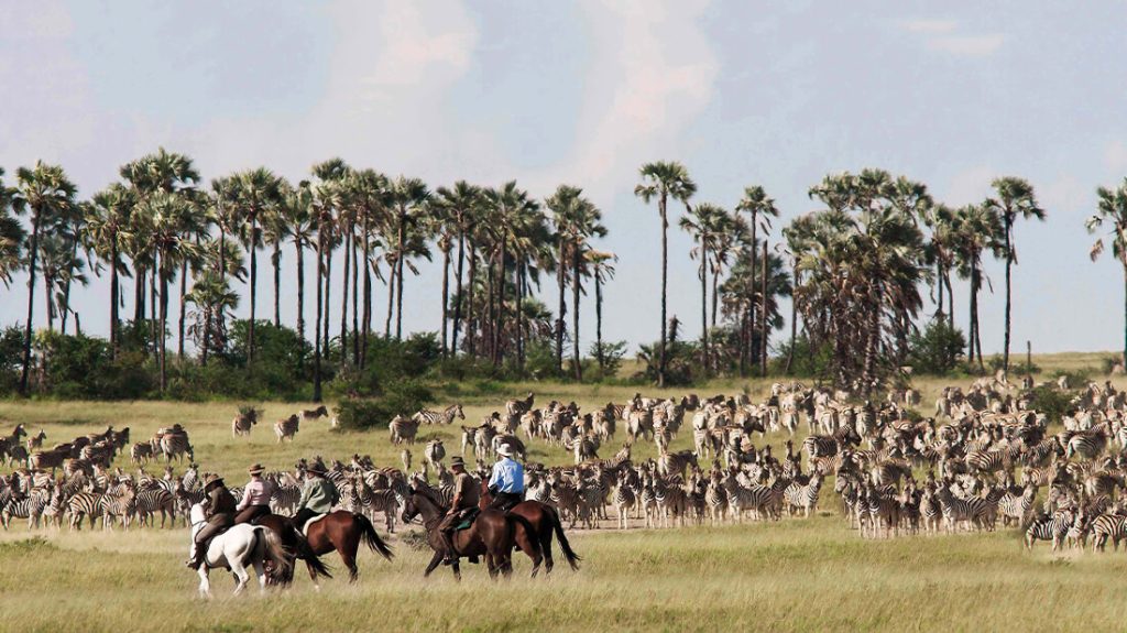 Horse riders in Makgadikgadi pans among wild animals