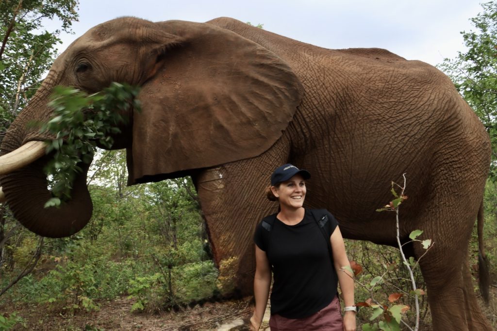 Janine with an elephant bull.