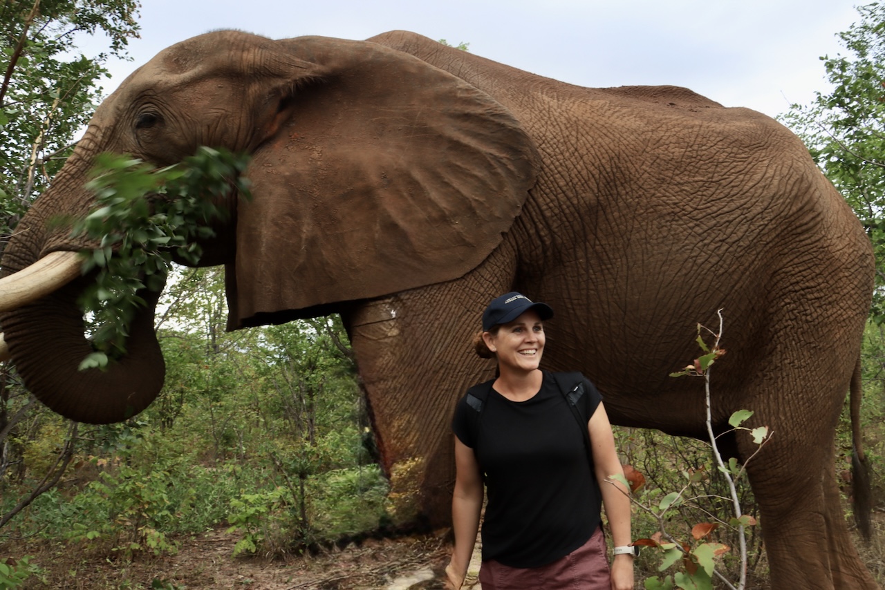 Janine with an elephant bull.